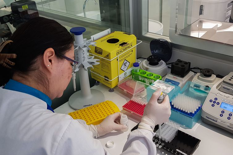 Procedimento de extração de DNA - Camila Boehm/Agência Brasil
